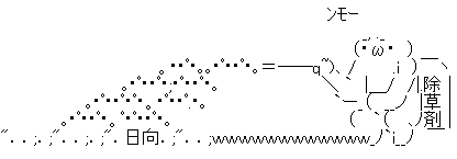 e0113528_1335161.gif