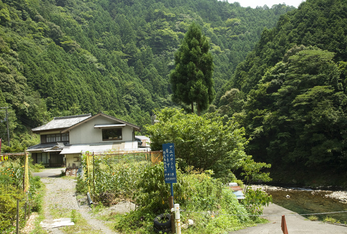 d0147530_611013.jpg
