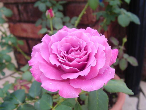 f0002833_22422664.jpg