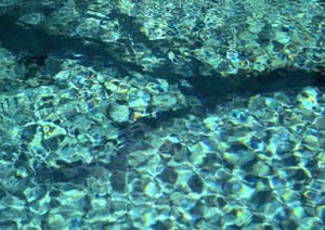 b0035734_17312818.jpg