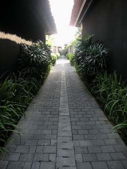 b0035734_17541943.jpg