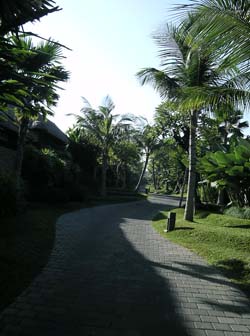 b0035734_17545126.jpg