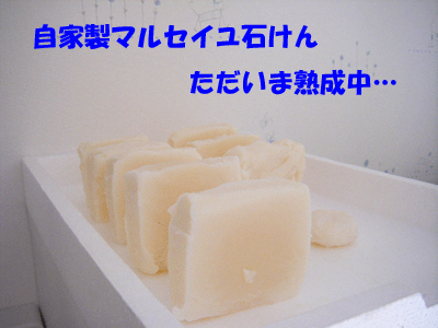 f0008935_14411834.gif
