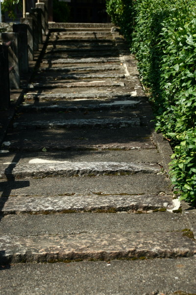 e0039744_18104897.jpg