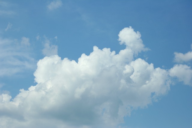 e0039744_1862331.jpg