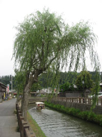 f0143445_16382060.jpg
