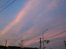 f0087347_22153451.jpg