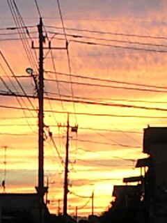 f0087347_2224279.jpg