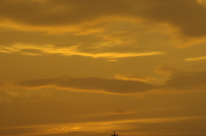 f0176353_22193354.jpg