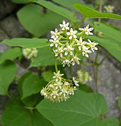 a0001354_22193322.jpg