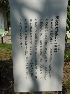 e0004756_2141360.jpg
