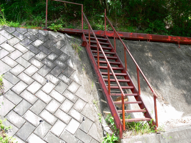 f0136656_6104426.jpg