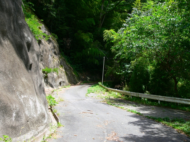 f0136656_671037.jpg