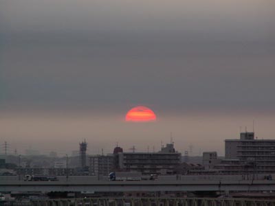d0150659_1085425.jpg