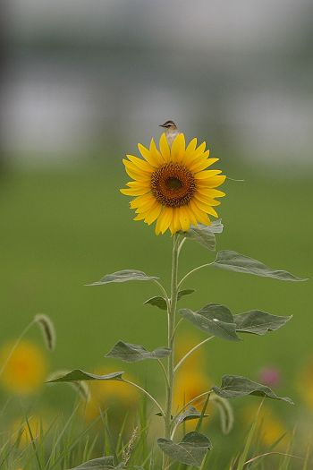 f0103860_0533241.jpg