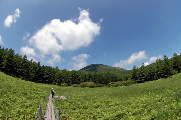 c0043361_0422724.jpg