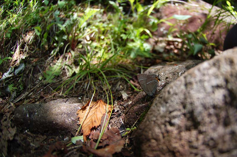 c0043361_0452532.jpg
