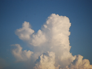d0087062_20292136.jpg