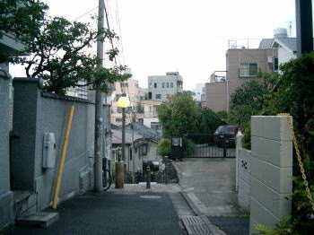 a0085663_1614355.jpg