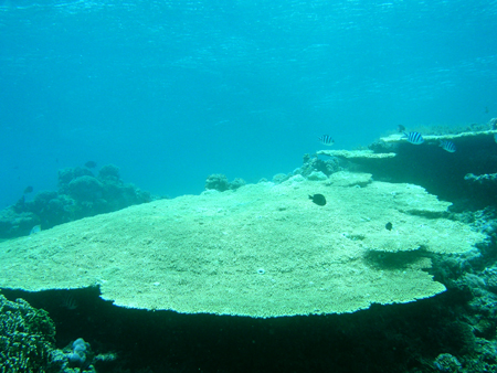 b0062363_22344876.jpg