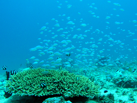 b0062363_2235196.jpg