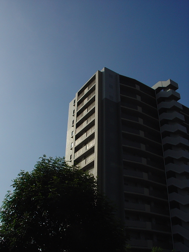 f0166066_1523421.jpg