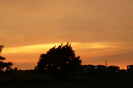 b0069169_15221574.jpg