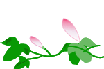 b0149071_10342393.gif