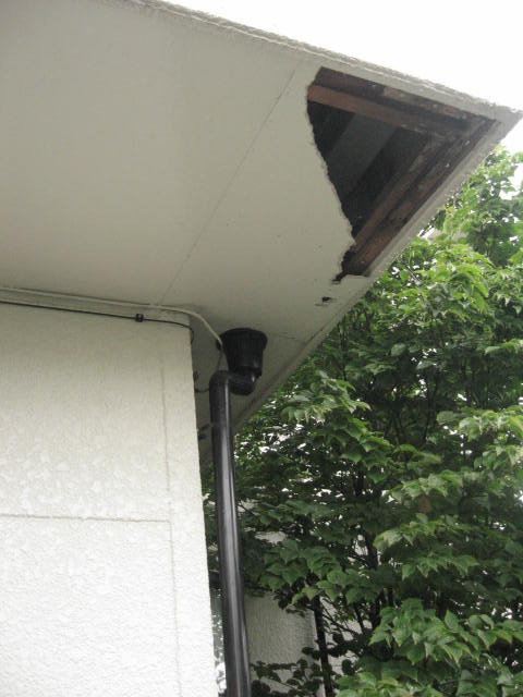 d0070473_9302577.jpg