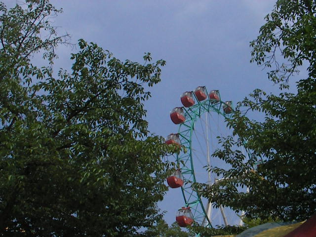 b0109874_8142497.jpg