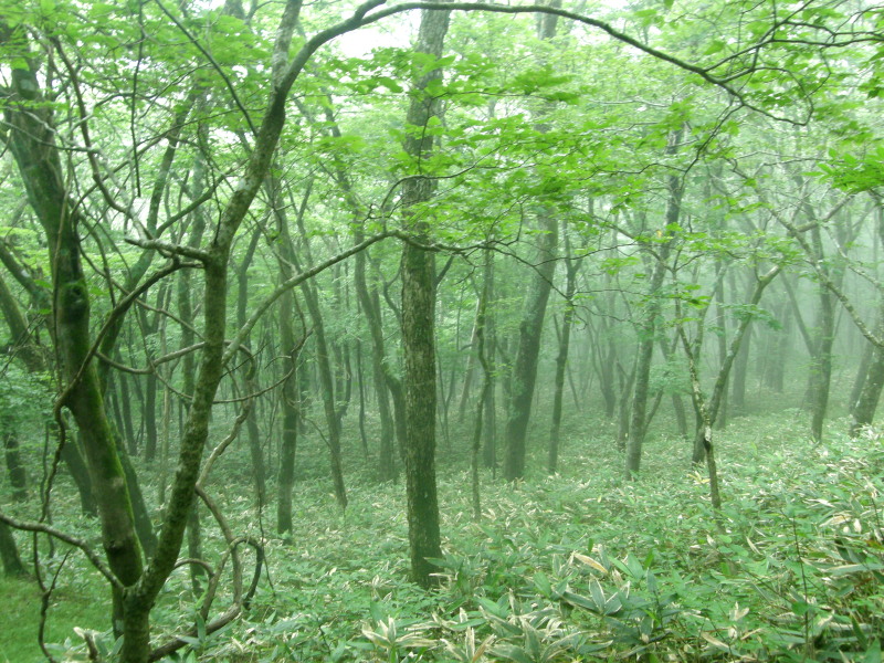 f0075075_20523826.jpg