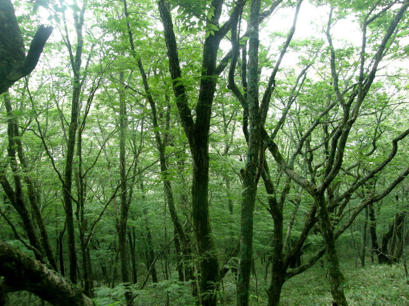 f0075075_20535766.jpg