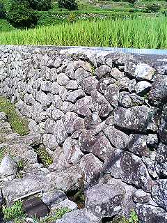 f0054677_7445839.jpg