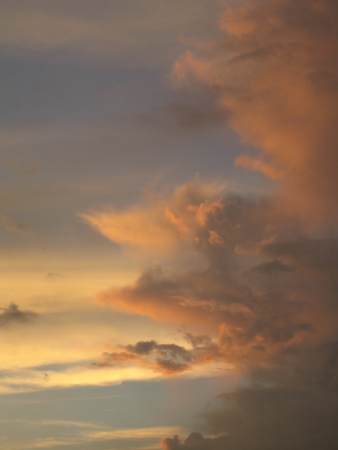 c0160778_20221678.jpg