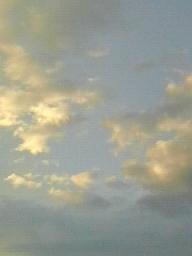 f0016981_20122282.jpg