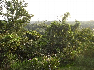 b0101284_22554769.jpg