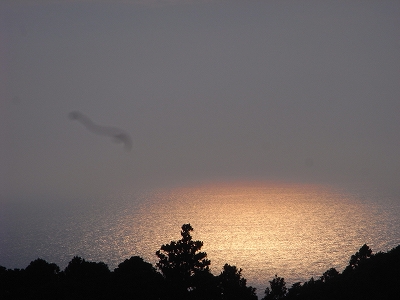b0101284_2361744.jpg