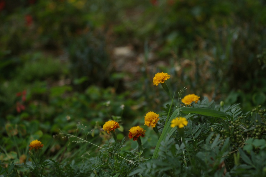 b0160184_23342116.jpg