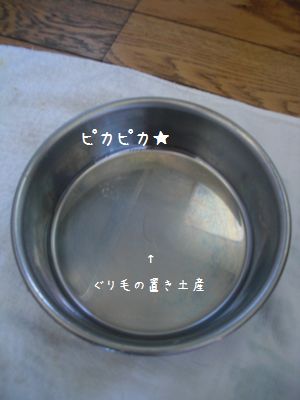 b0000885_10105183.jpg