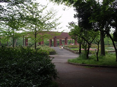 c0105785_1043525.jpg
