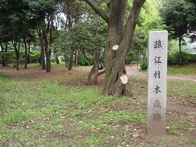 c0105785_11572992.jpg