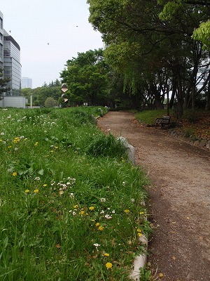 c0105785_1212659.jpg