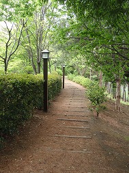 c0105785_129280.jpg