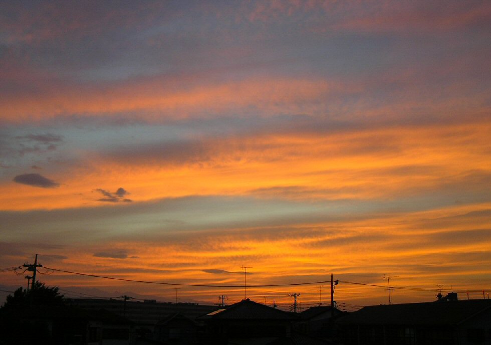 d0130286_22533390.jpg