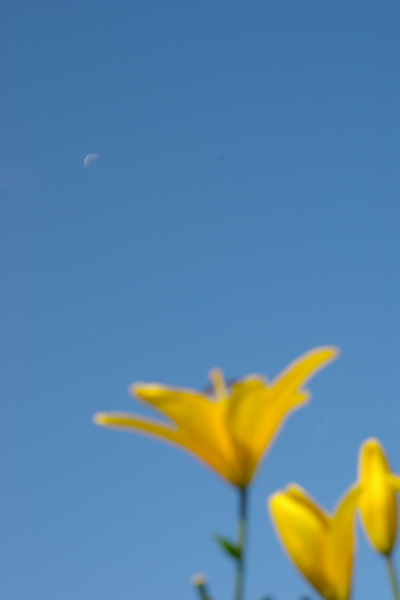 e0051186_2083450.jpg