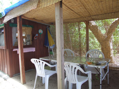 e0028387_053789.jpg