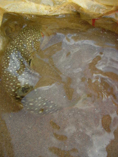 f0107588_13574034.jpg