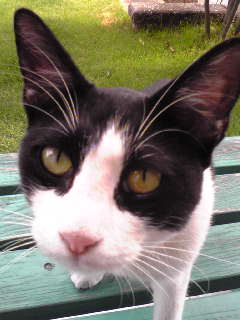 a0077891_11494818.jpg