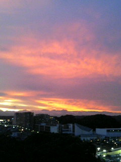 f0024291_2091783.jpg
