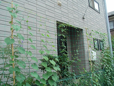 c0096393_213619.jpg